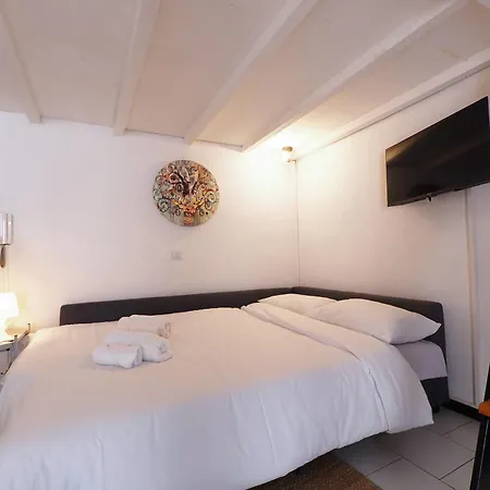 Primopiano - Pacini Milaan